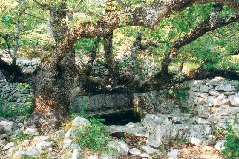 Domaine de 42 hectares en Vaucluse, entre Mont ventoux et Luberon